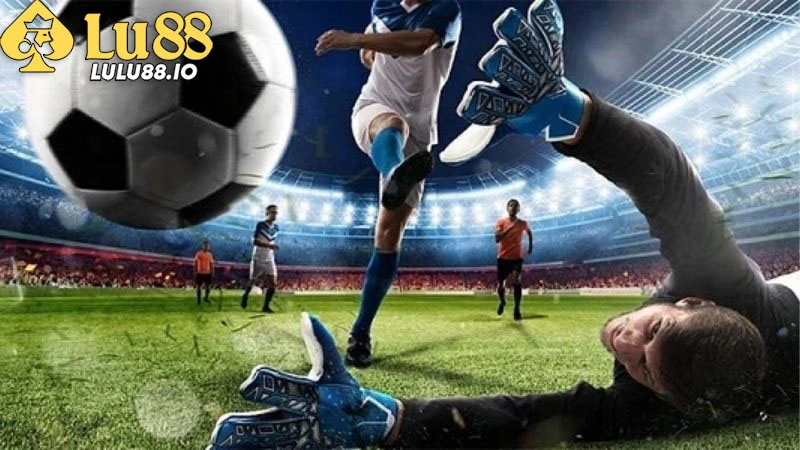 Các dạng cược có sẵn